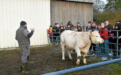 Concours de pointage