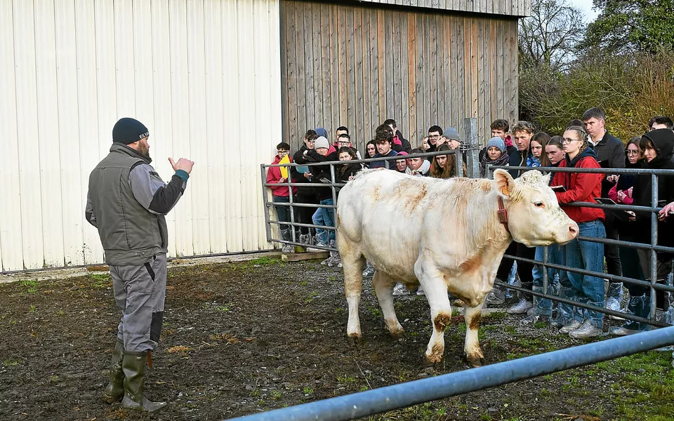 6922ec7cede0fbc42b0a82f0