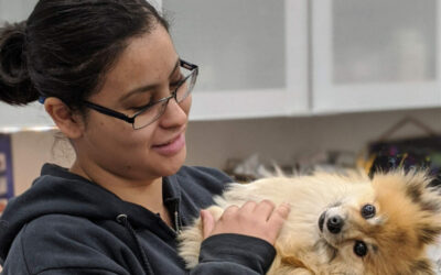 Nouveauté 2026 : option soin aux animaux