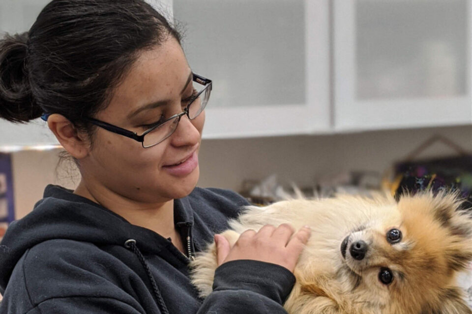 998693a7e5f867d8693a7e5f851969v 960x640